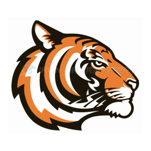 Princeton Tigers Iron-on Stickers (Heat Transfers)NO.5925